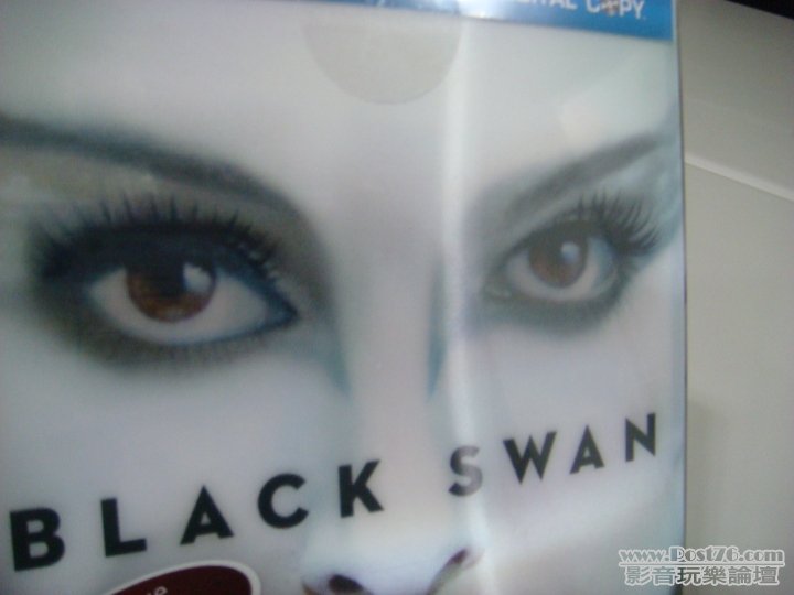 BLACK SWAN_03.jpg