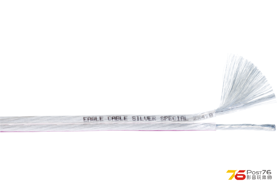 EAGLE SILVER SPECIAL.png