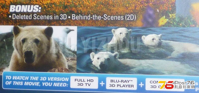 polarbear3D_SF.jpg