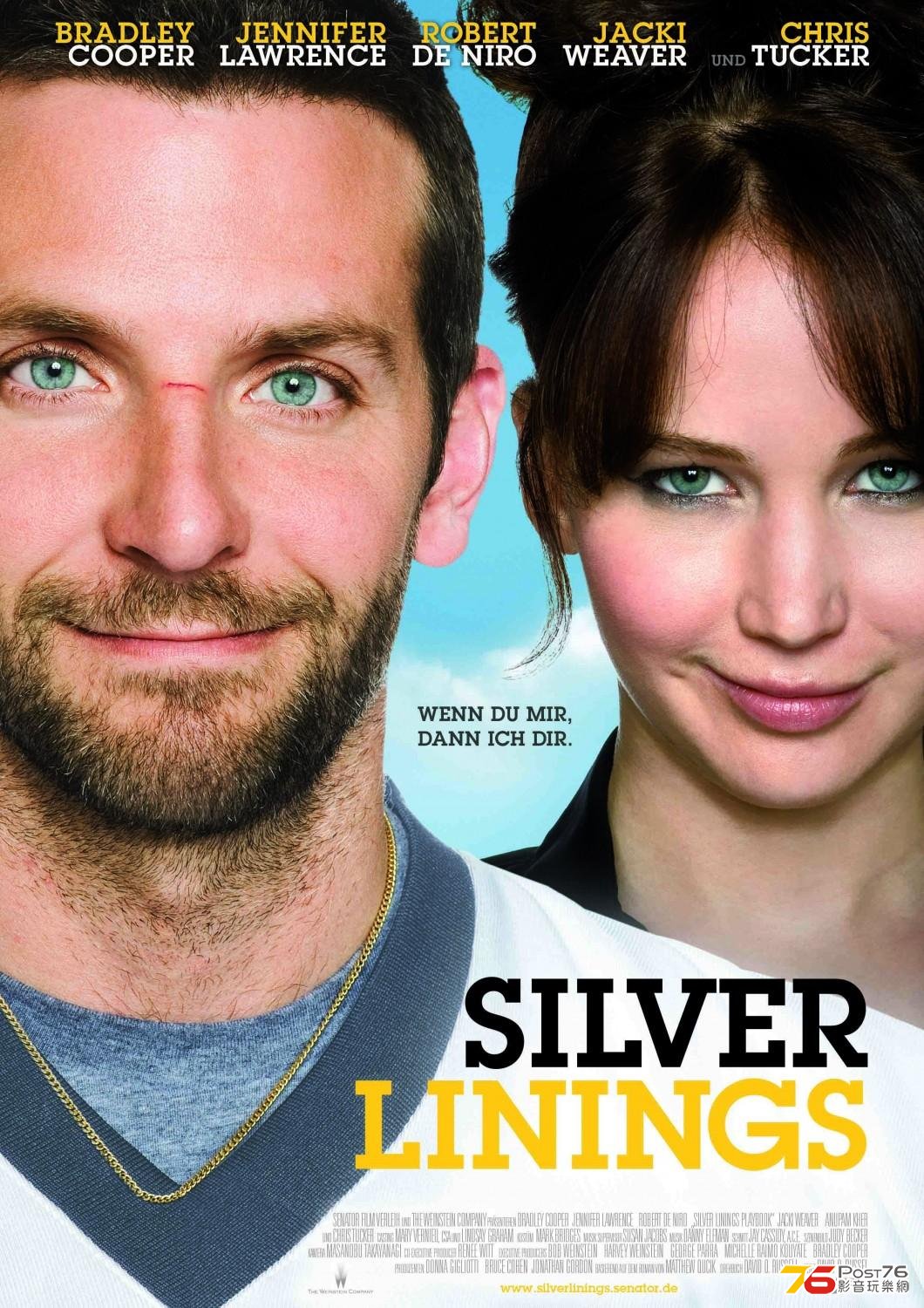 Silver Linings Playbook.JPG