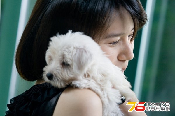 我的狗狗我的愛 12.jpg