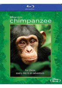 ChimpanzeeIVLBD.jpg