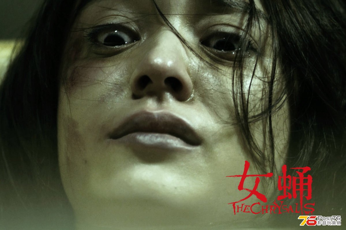 女蛹 6.jpg