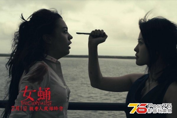 女蛹 4.jpg