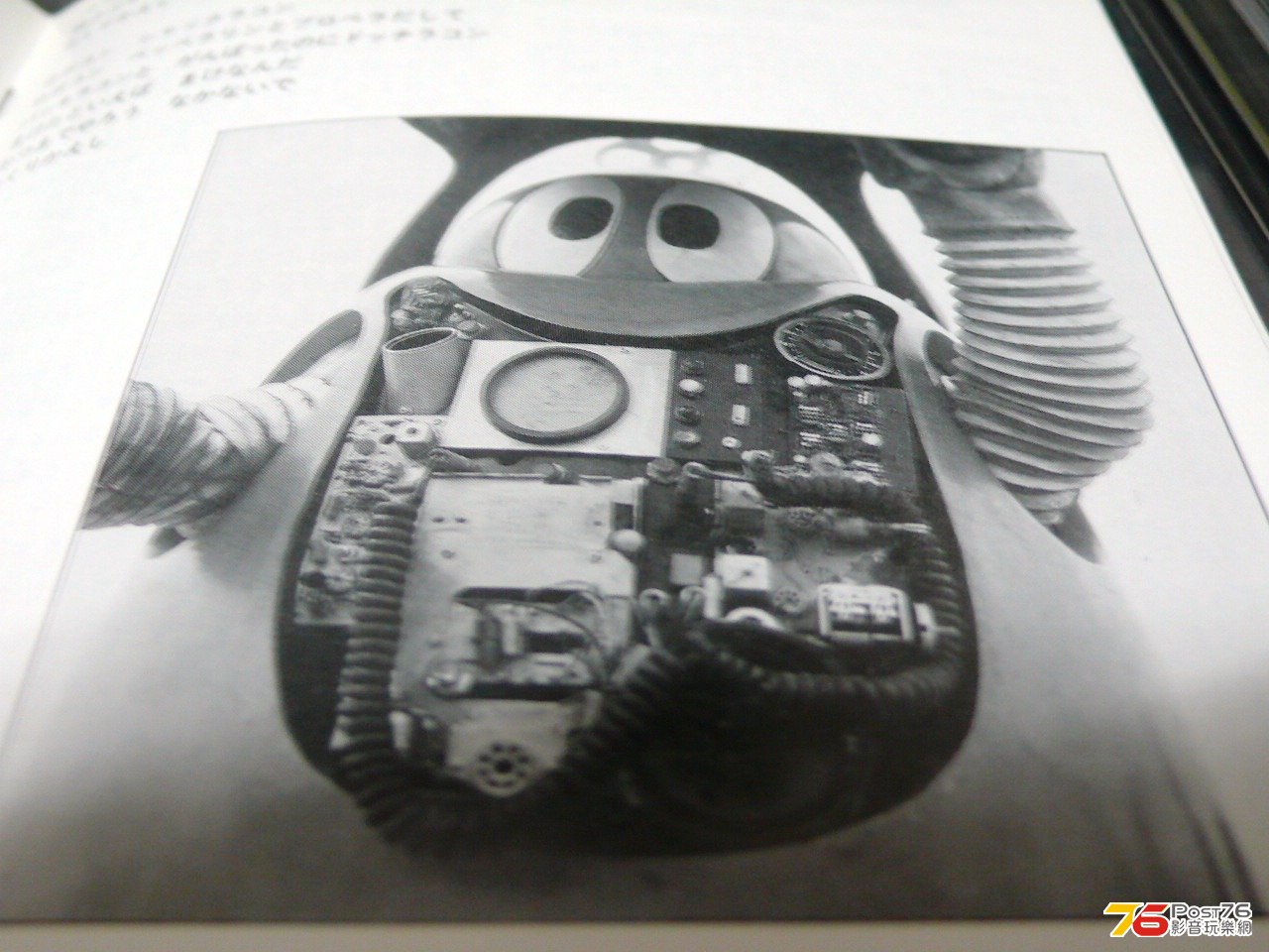 P1020933.JPG