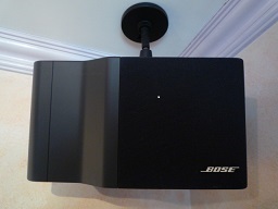 BOSE 101 Italiano (with mount).jpg