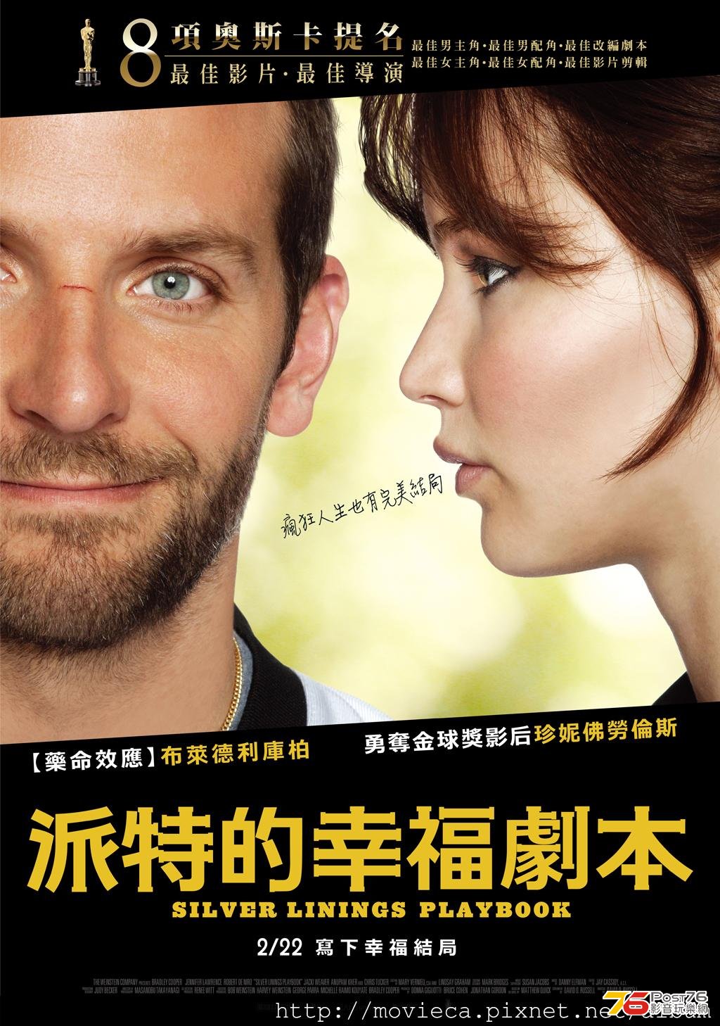Silver Linings Playbook.jpg