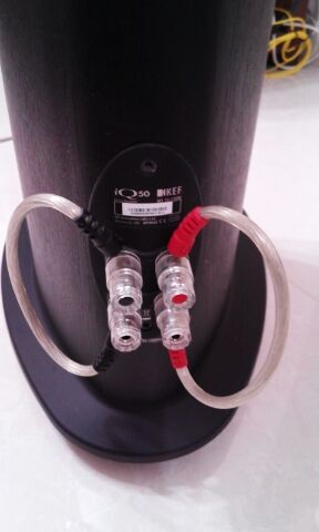 IMG_201304090327.jpg