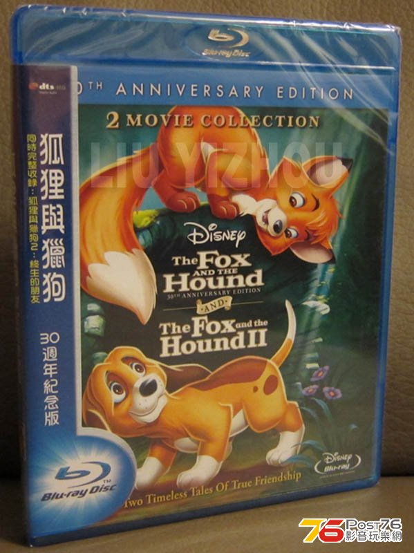 foxhoundBD_cover.jpg