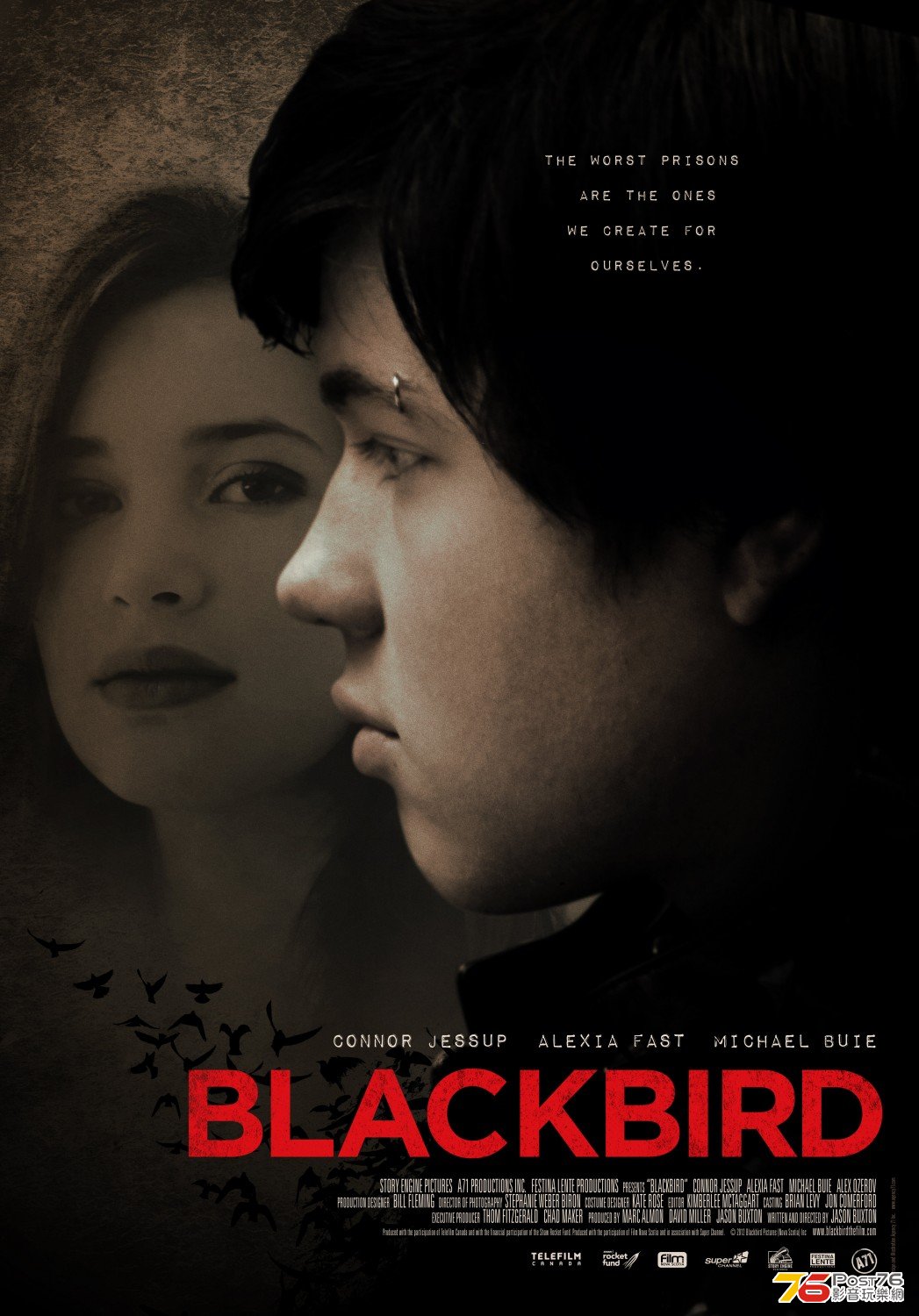 Blackbird.jpg