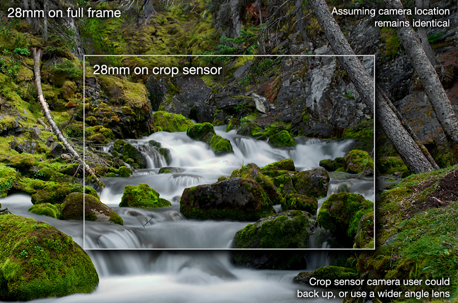 crop-sensor-vs-full-frame-with-labels.jpg