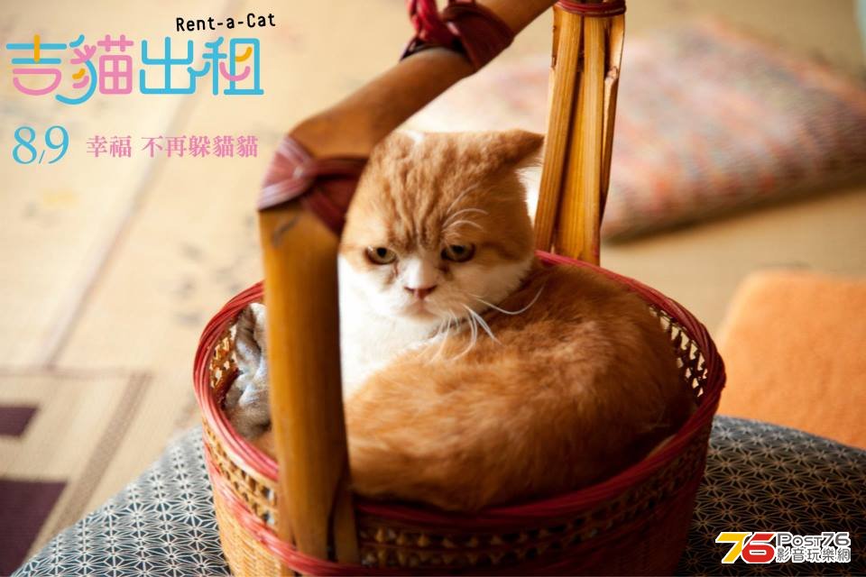 吉貓出租.jpg
