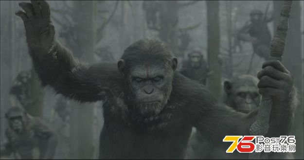 dawnoftheplanetoftheapes_1.jpg
