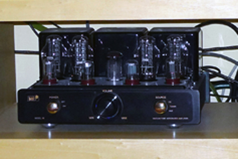 P1040963msAMP.jpg