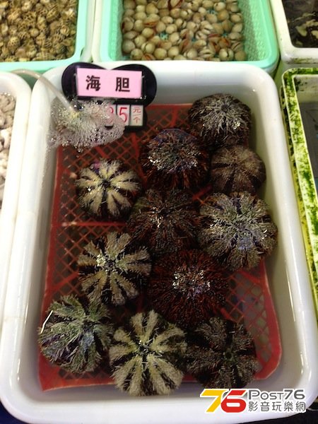 IMG_3015 拷貝.jpg