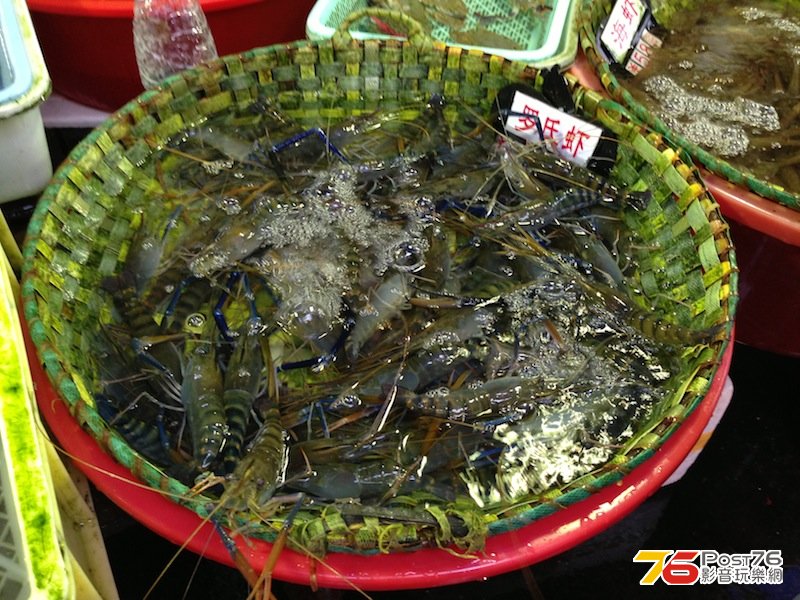 IMG_3014 拷貝.JPG