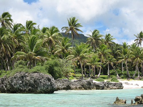 Rota-Island_KH0PR_Coconut-trees.jpg