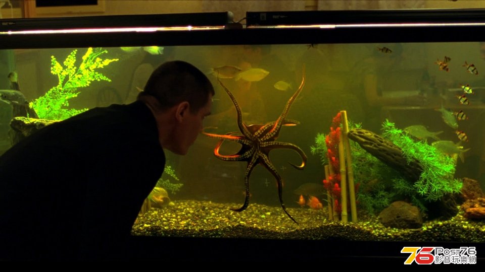 oldboy2013_6.jpg