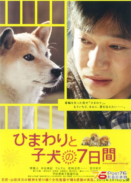 ひまわりと子犬の7日間 1.jpg