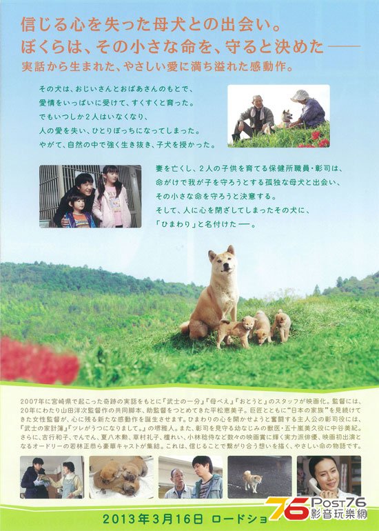 ひまわりと子犬の7日間 2.jpg