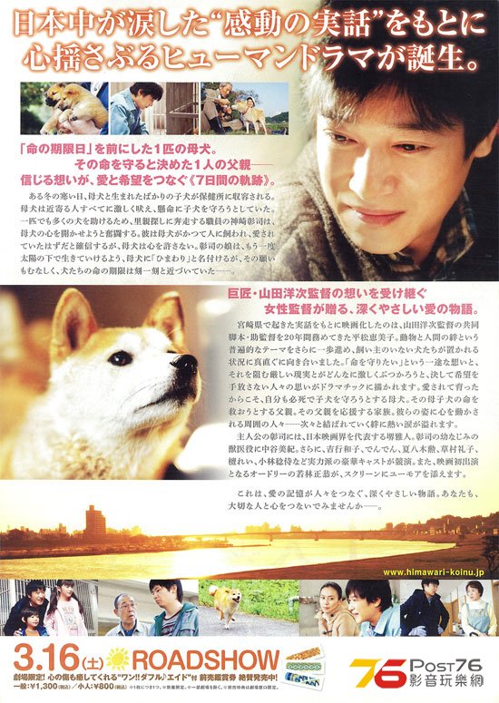 ひまわりと子犬の7日間 3.jpg