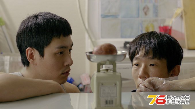코알라 5.jpg