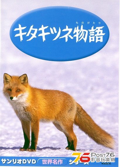 jFoxes76.jpg