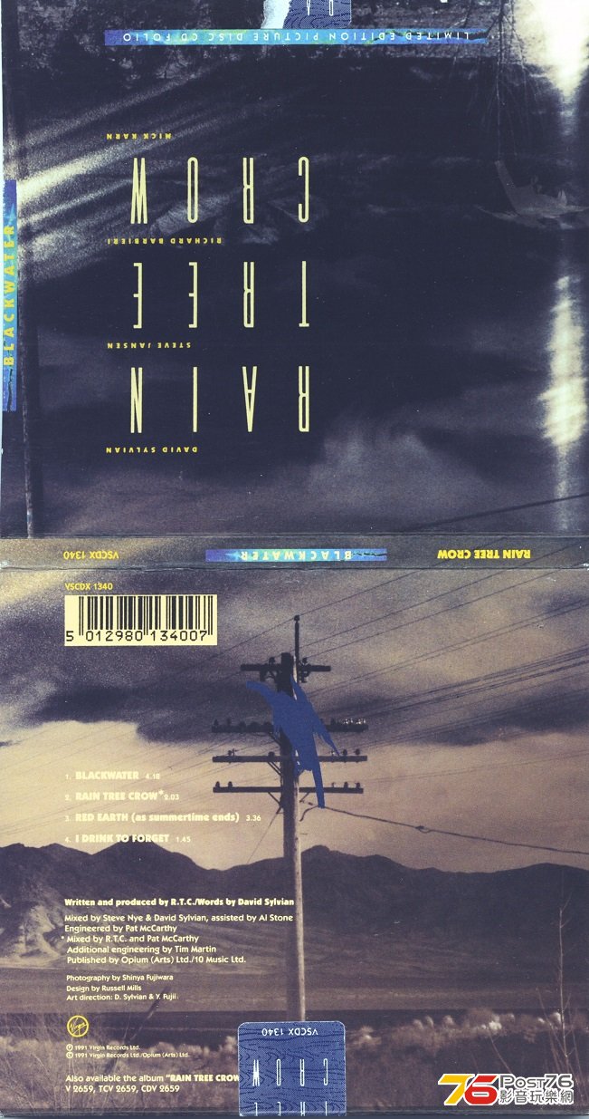 davidSylvian91rainTreeCrow.jpg