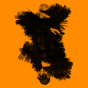 F570-300x300-Dec9.gif