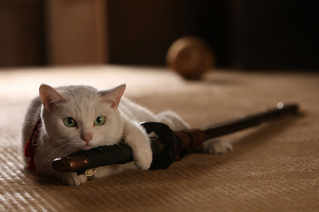 猫侍 2.jpg