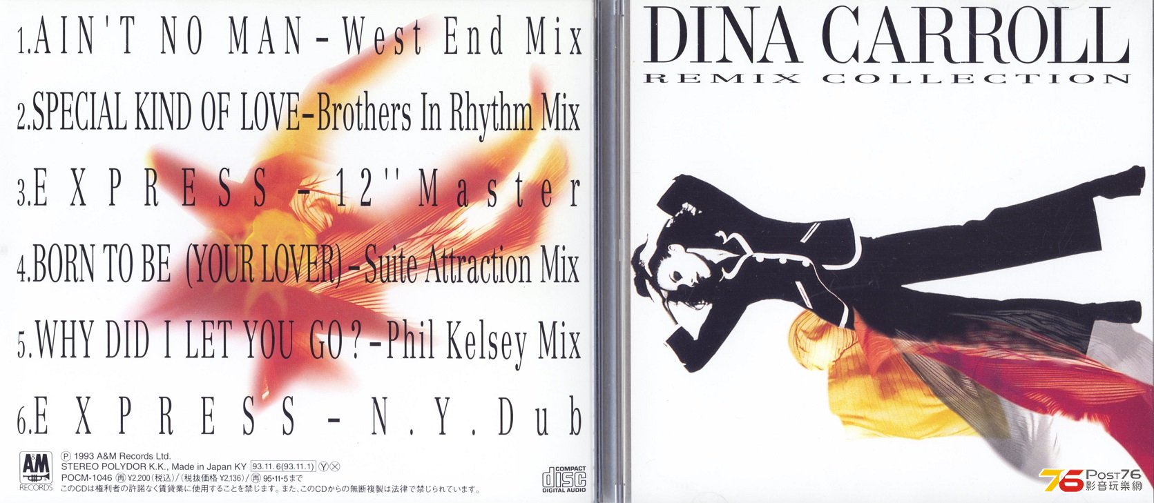 dinaCarroll93remixCollection.jpg