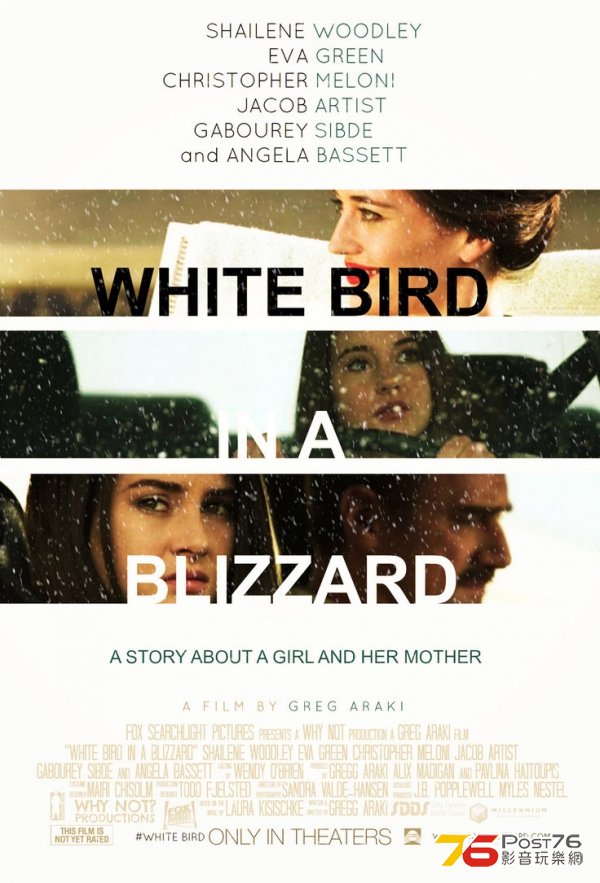 White Bird In a Blizzard.jpg