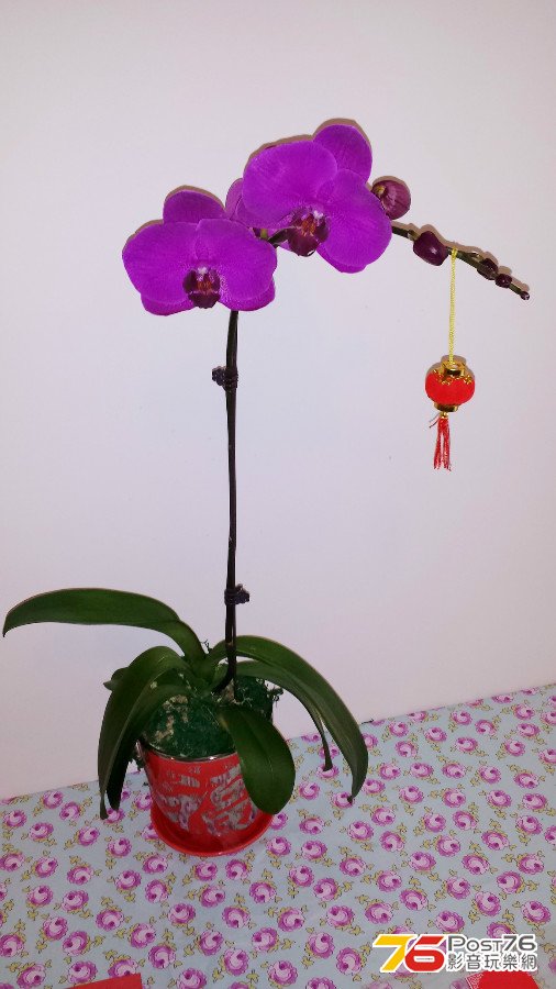 20140130_162123.jpg