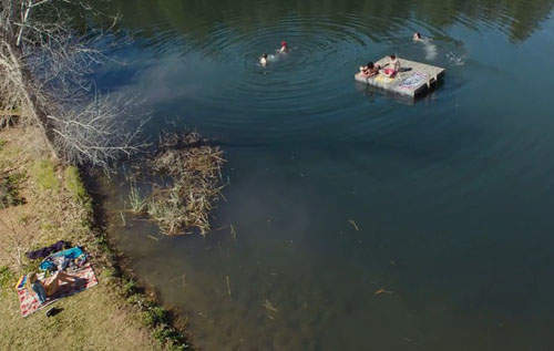 Zombeavers.jpg