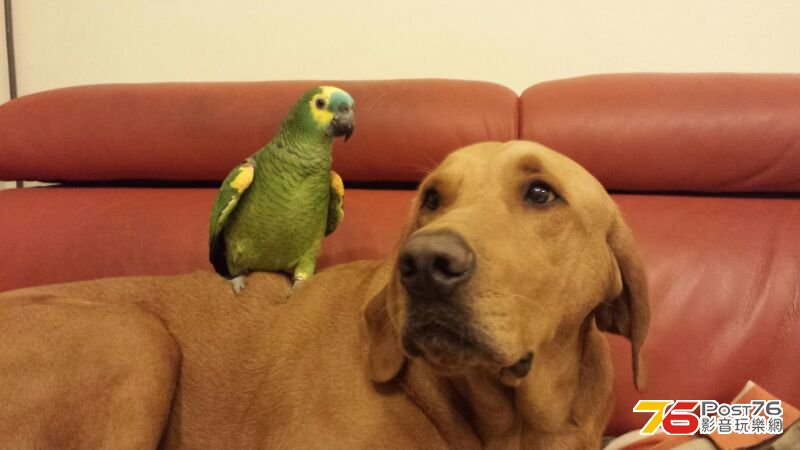 IMG-20140208-WA0008.jpg