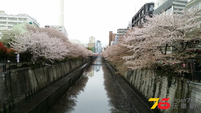 PicsArt_1396787144241.jpg