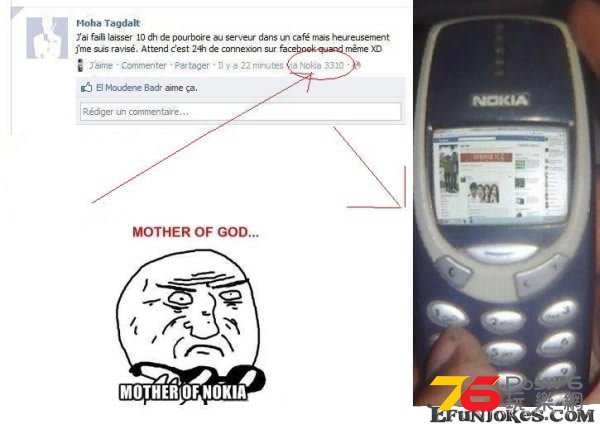 facebook-via-nokia-3310[1].jpg