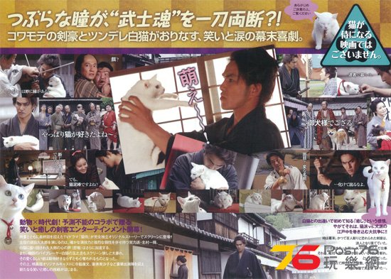 猫侍5.jpg