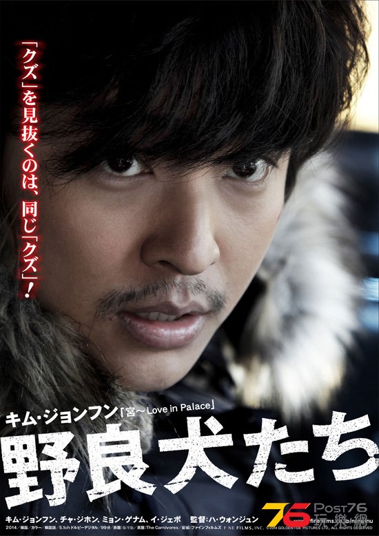 野良犬たち1.jpg