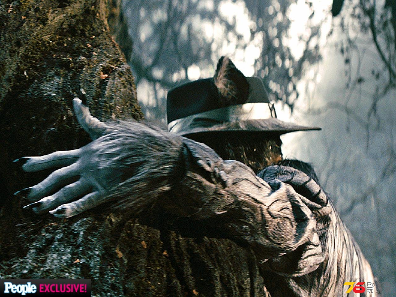 intothewoods_12.jpg