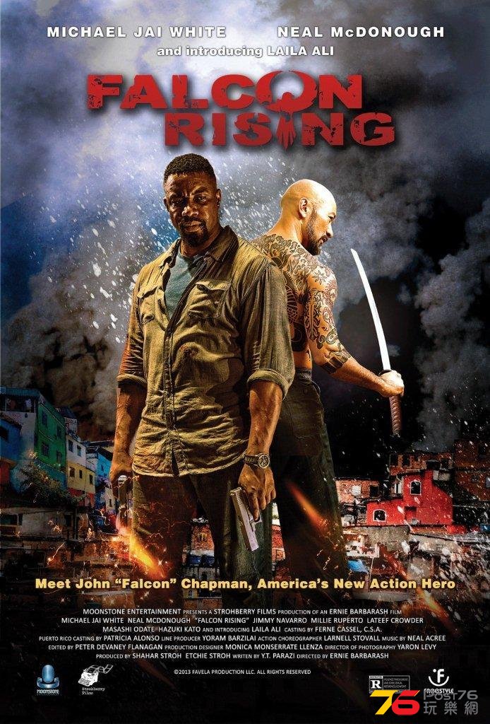 Falcon Rising.jpg