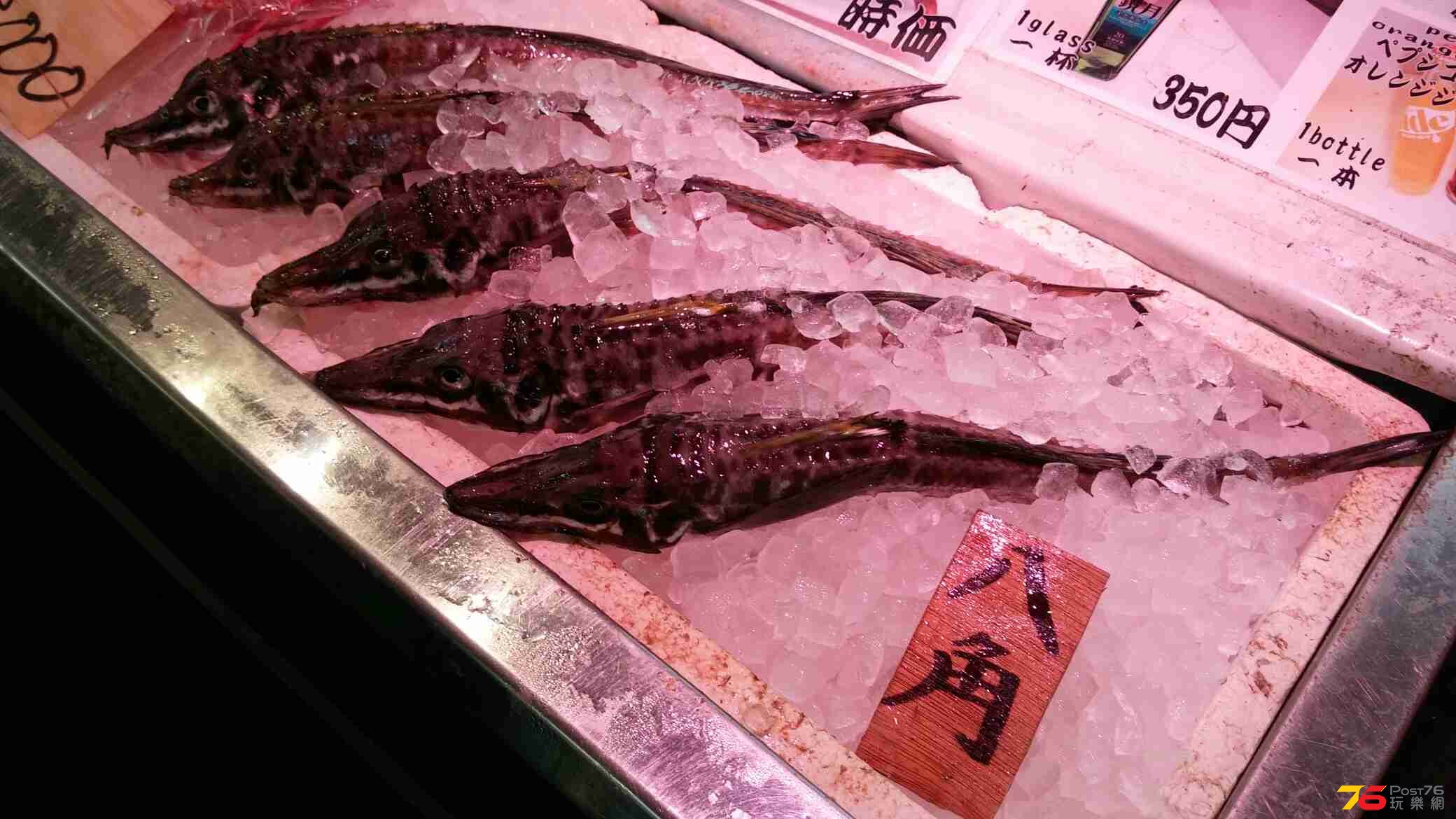 20140805_090206.jpg