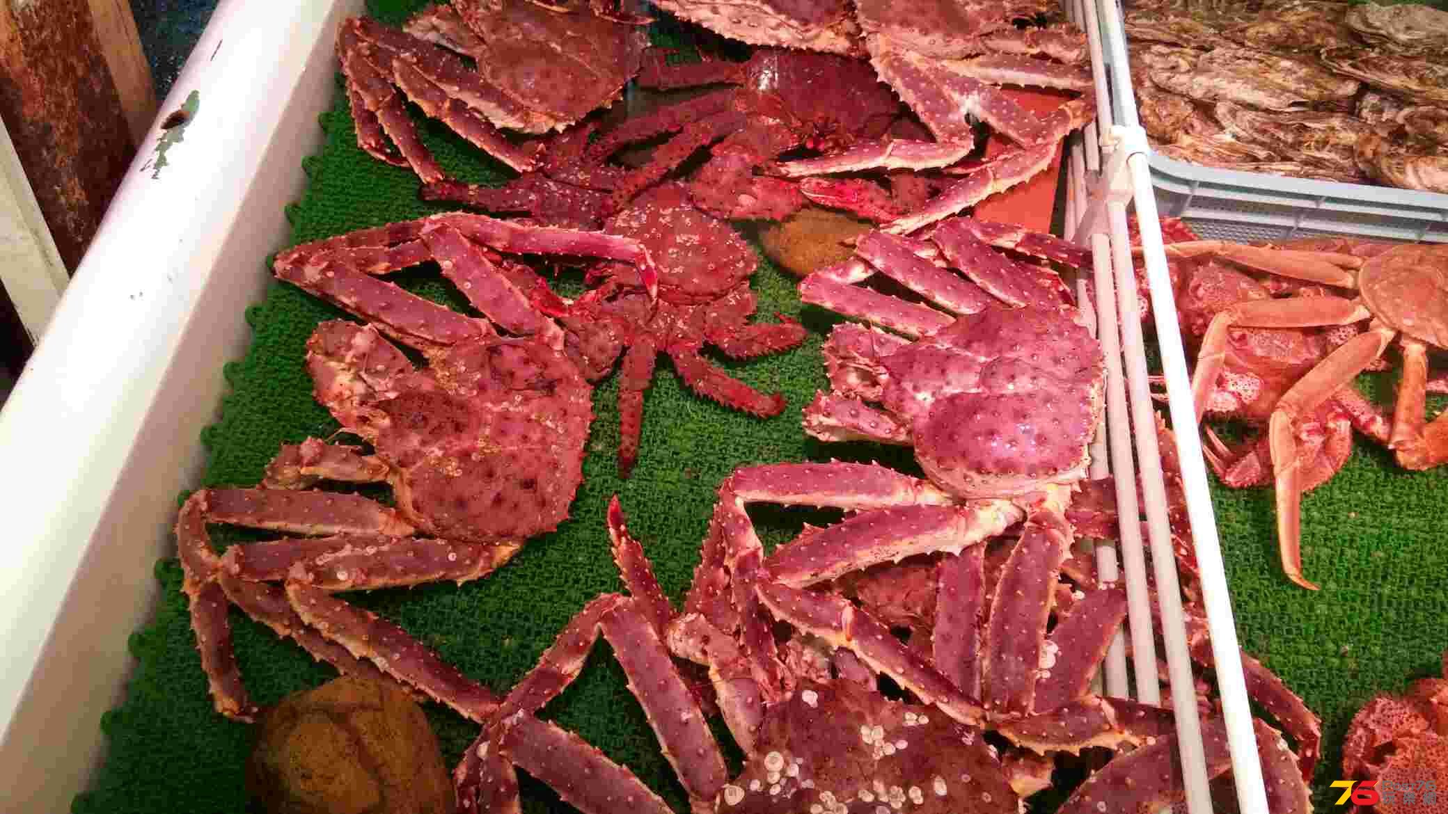20140805_091227.jpg