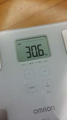 一隻加複合沙成30kg