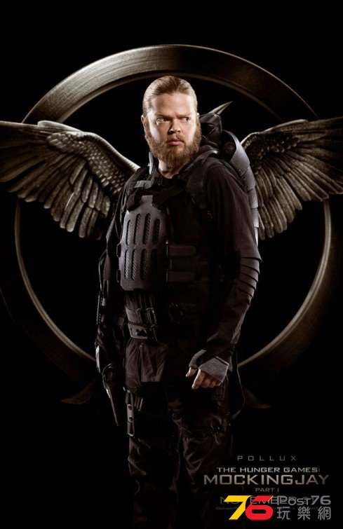 Mockingjay22.jpg