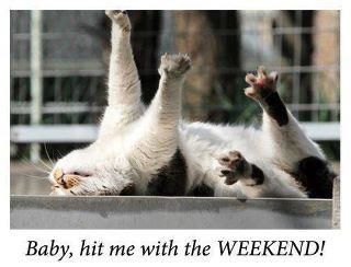 weekend.jpg