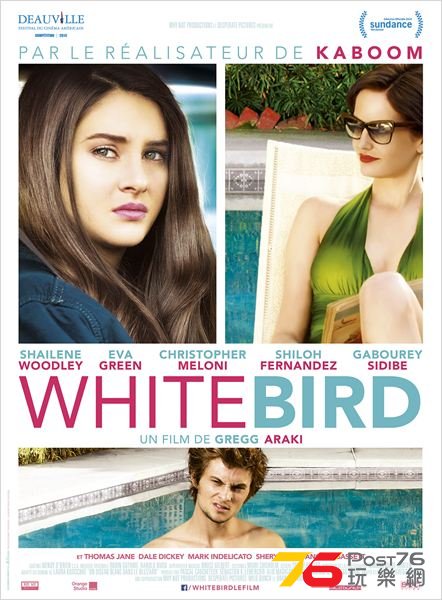 White Bird.jpg