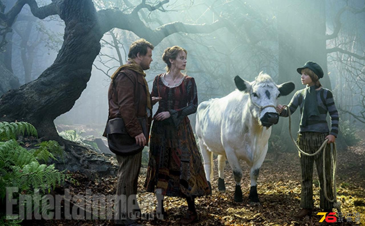 intothewoods_15.jpg