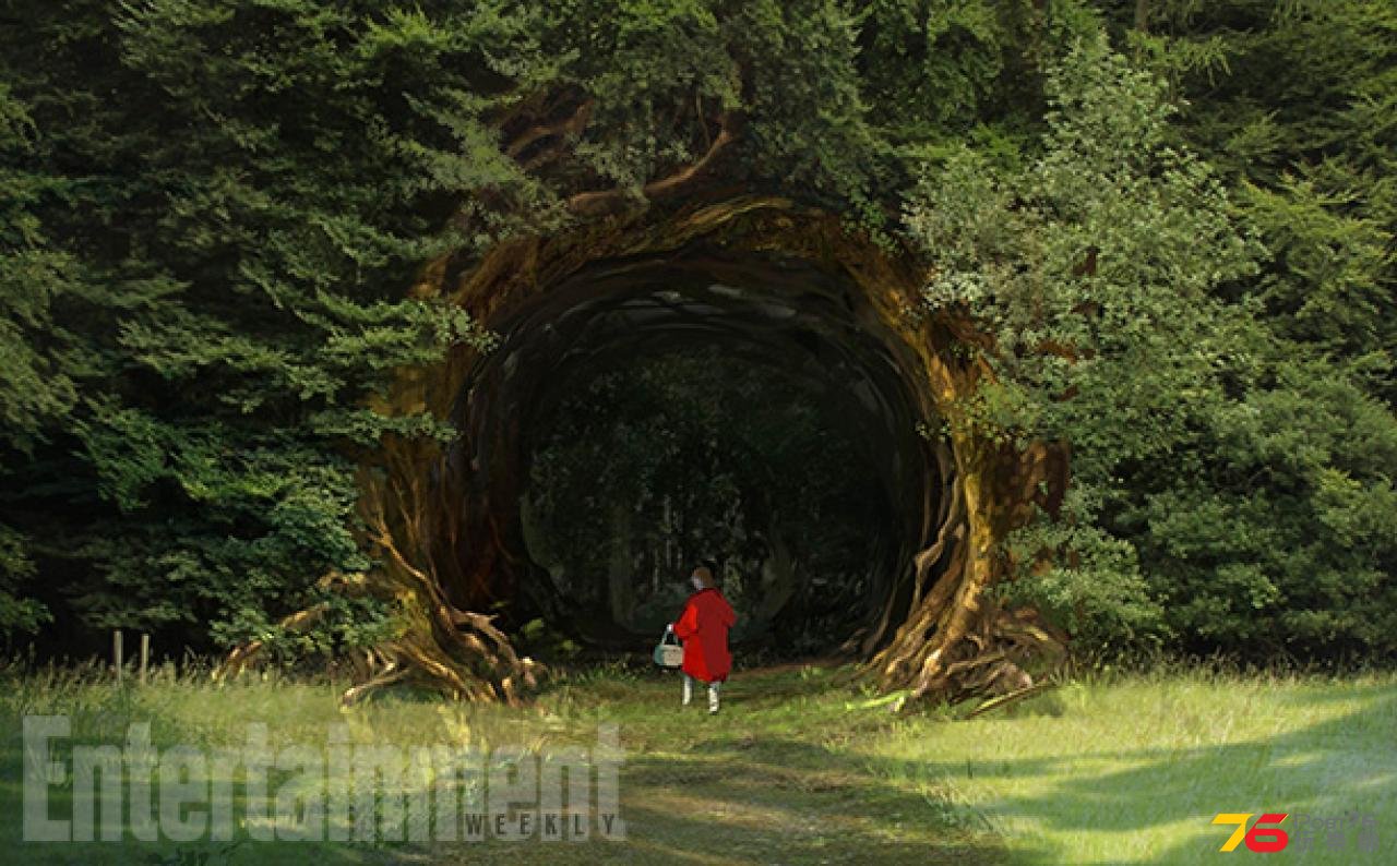 intothewoods_19.jpg