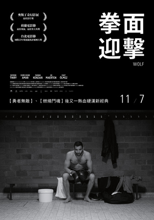 拳面迎擊.jpg